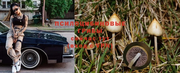 скорость Сосновоборск