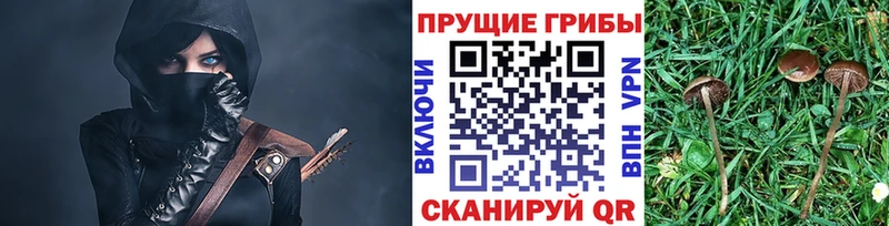 Галлюциногенные грибы мицелий  Афипский 